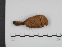 登錄號:F0003536藏品圖，第1張