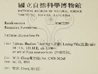 登錄號:F0003539藏品圖，第2張