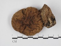 登錄號:F0003540藏品圖，第1張