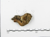 登錄號:F0003540藏品圖，第4張