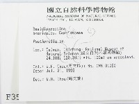 登錄號:F0003541藏品圖，第2張