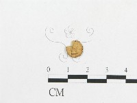 登錄號:F0003541藏品圖，第3張