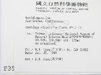 登錄號:F0003543藏品圖，第2張