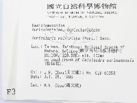 毛木耳藏品圖，第2張