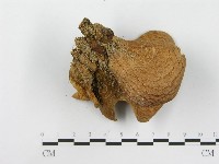 登錄號:F0003545藏品圖，第3張