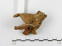 登錄號:F0003545藏品圖，第5張