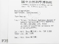 鬼傘屬藏品圖，第2張