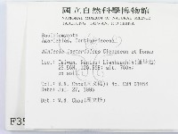登錄號:F0003549藏品圖，第2張