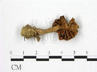 登錄號:F0003550藏品圖，第3張