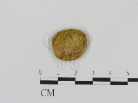登錄號:F0003551藏品圖，第3張