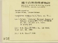 登錄號:F0003552藏品圖，第2張