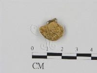 登錄號:F0003552藏品圖，第1張