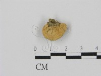 登錄號:F0003552藏品圖，第3張