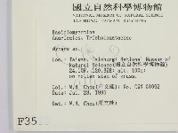 小菇屬藏品圖，第2張