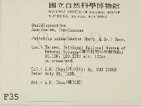 登錄號:F0003554藏品圖，第2張