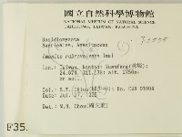 登錄號:F0003555藏品圖，第2張