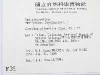 登錄號:F0003557藏品圖，第2張