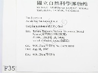 登錄號:F0003559藏品圖，第2張