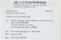 登錄號:F0003559藏品圖，第4張