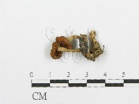 登錄號:F0003561藏品圖，第3張