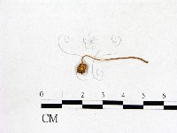 登錄號:F0003562藏品圖，第3張