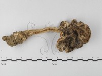 登錄號:F0003563藏品圖，第6張