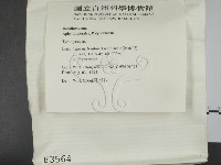 登錄號:F0003564藏品圖，第2張