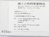 登錄號:F0003565藏品圖，第2張