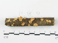 登錄號:F0003565藏品圖，第1張