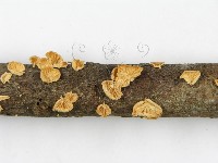 登錄號:F0003565藏品圖，第3張