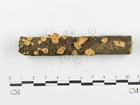 登錄號:F0003565藏品圖，第6張