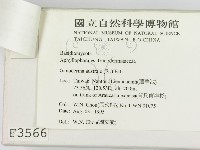 登錄號:F0003566藏品圖，第3張