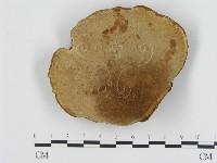 登錄號:F0003566藏品圖，第4張