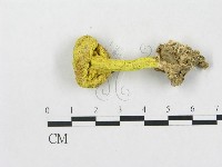 登錄號:F0003567藏品圖，第1張