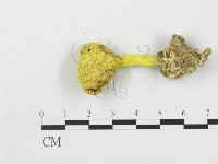 登錄號:F0003567藏品圖，第3張