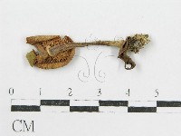 登錄號:F0003577藏品圖，第1張