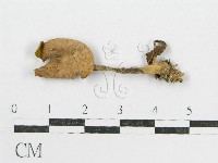 登錄號:F0003577藏品圖，第3張