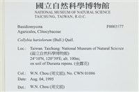 登錄號:F0003577藏品圖，第4張