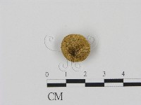 登錄號:F0003578藏品圖，第1張