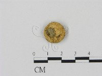 登錄號:F0003578藏品圖，第3張