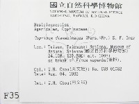 登錄號:F0003583藏品圖，第2張