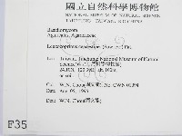 登錄號:F0003585藏品圖，第2張