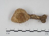 登錄號:F0003587藏品圖，第1張