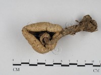 登錄號:F0003587藏品圖，第3張