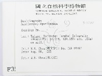 傘菌屬藏品圖，第2張