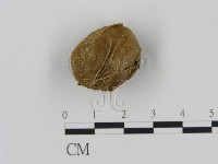 登錄號:F0003590藏品圖，第1張