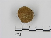 登錄號:F0003590藏品圖，第3張