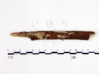 登錄號:F0003592藏品圖，第1張