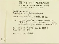 登錄號:F0003593藏品圖，第2張