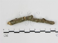 登錄號:F0003593藏品圖，第1張